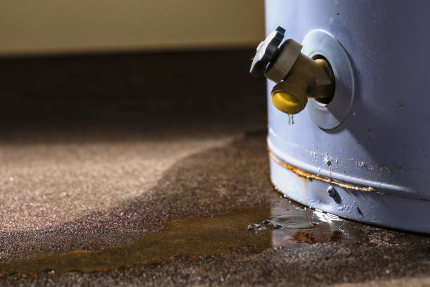 Best Mold removal after water damage  in Sharon Center, OH