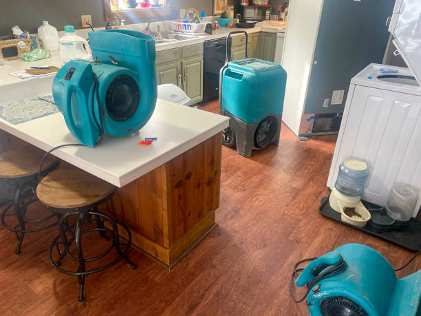 Best Sewage cleanup and water damage restoration  in Sharon Center, OH