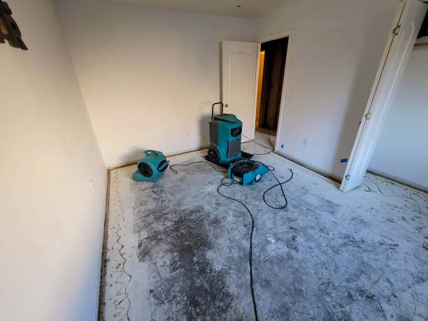 Best Flood restoration services  in Sharon Center, OH