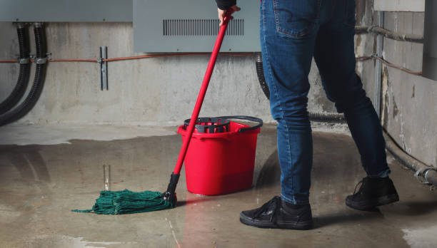 Best Local water damage restoration  in Sharon Center, OH