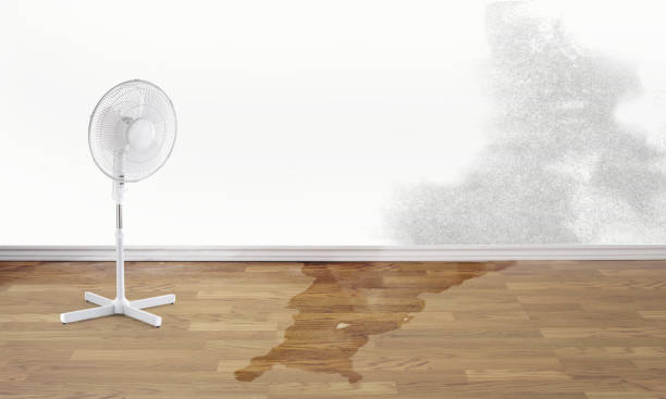 Best Water damage contractors near me  in Sharon Center, OH