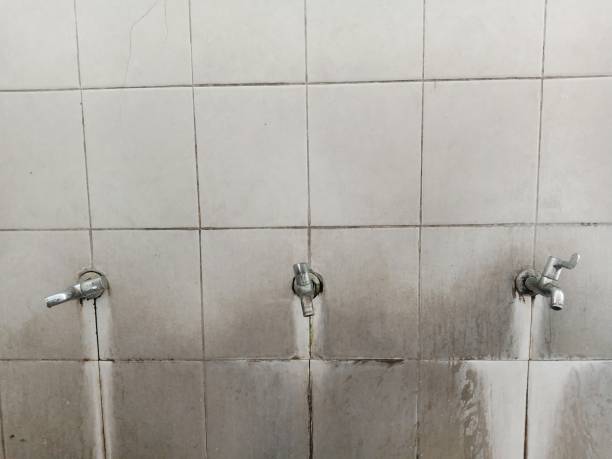 Best Basement water damage restoration  in Sharon Center, OH