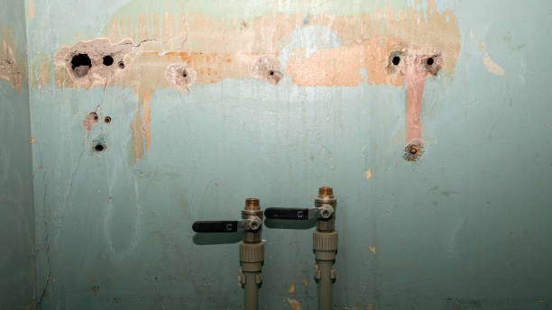 Best Ceiling water damage repair  in Sharon Center, OH