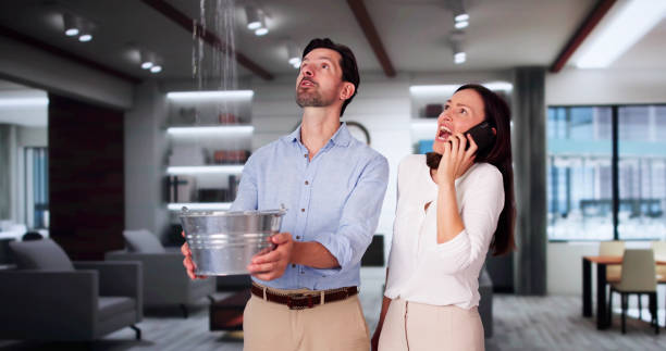 Best Local water damage restoration  in Sharon Center, OH